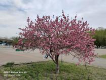 四月，我想念的烏海學院