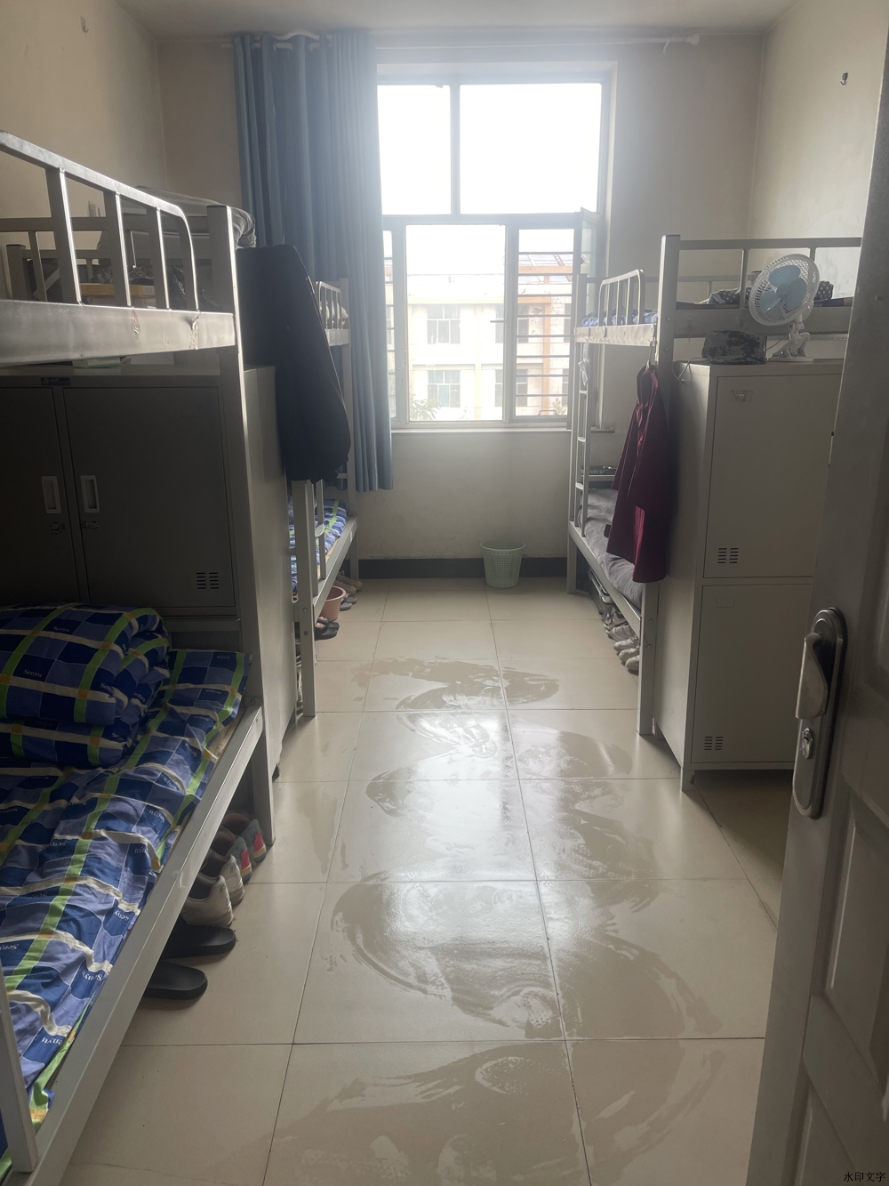 微信圖片_20240919120714