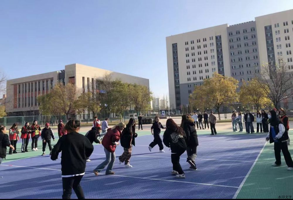 315ec530212bdb7b032890c7d055919